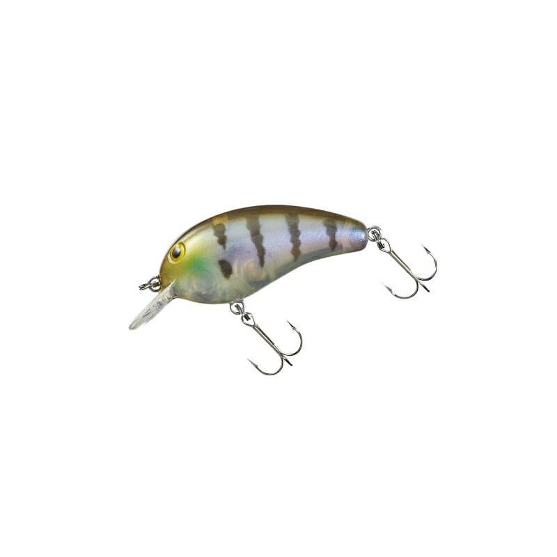 Daiwa Peanut SSR Raw Gill