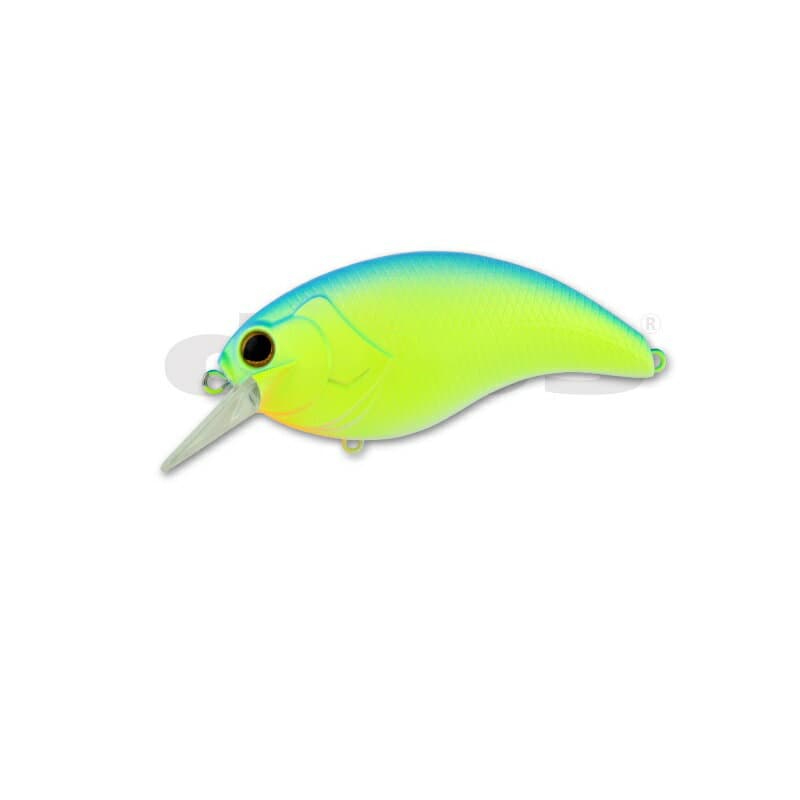 Deps Evoke 4.0 #02 Blue Back Chart