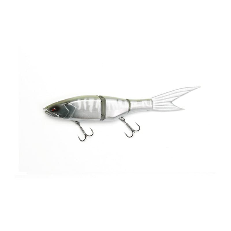Galapagos Grace 240F #3 Gill Hasu