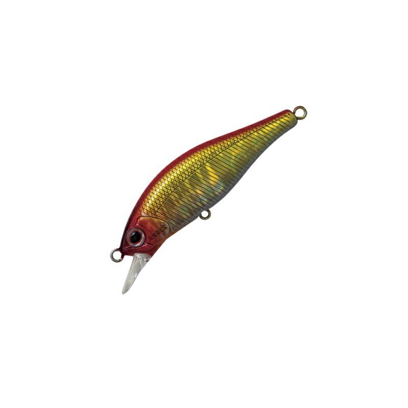 Palms Alexandra 50HW #Abalone Summer Beetle