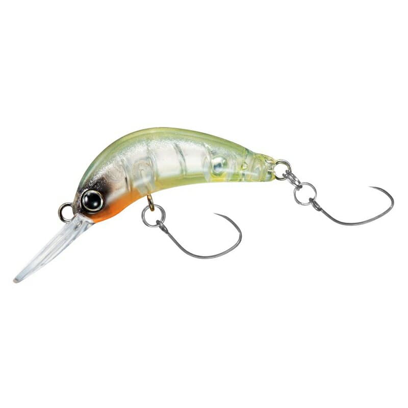 Daiwa Masunoimomushi 30F Clear Chart