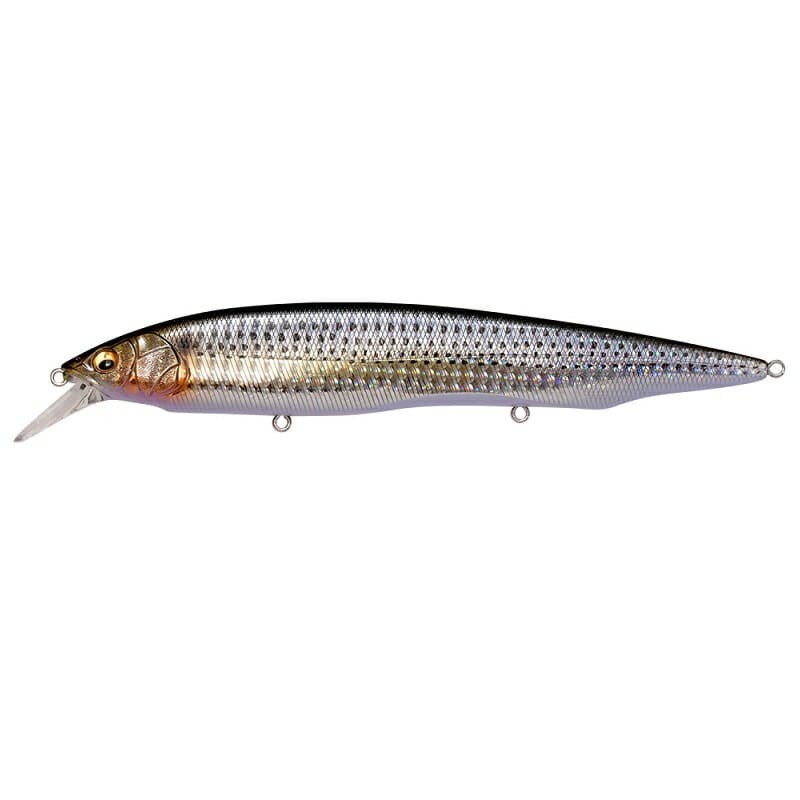 Megabass KANATA SW #GG Lens Konoshiro
