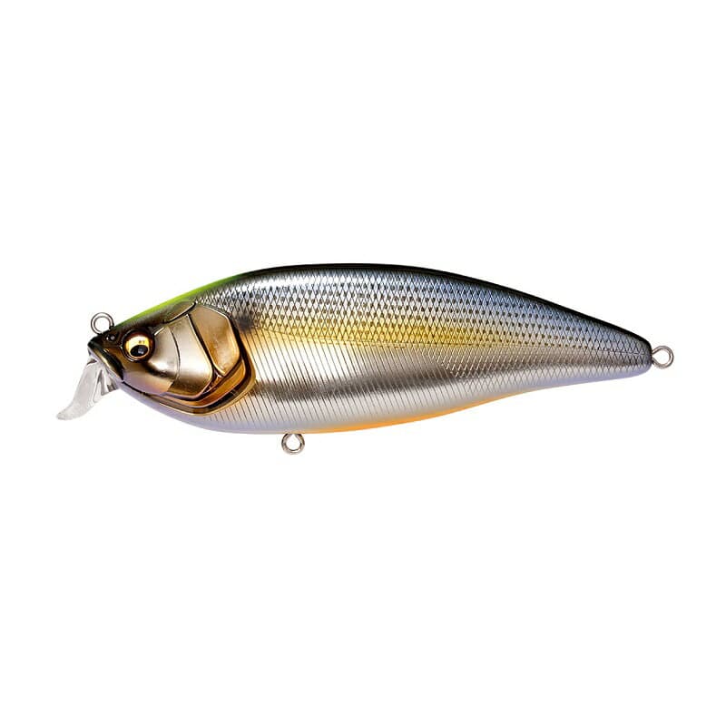Megabass Seabass Lure Konoshirus Shad F Japanese Silver Conoshiro Indicator