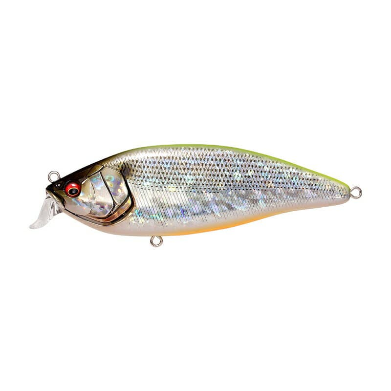 Megabass Seabass Lure Konoshirus Shad F GG Chartback Conoshiro