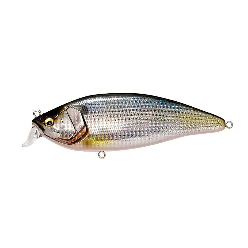 Megabass Seabass Lure Konoshirus Shad F FA Conoshiro