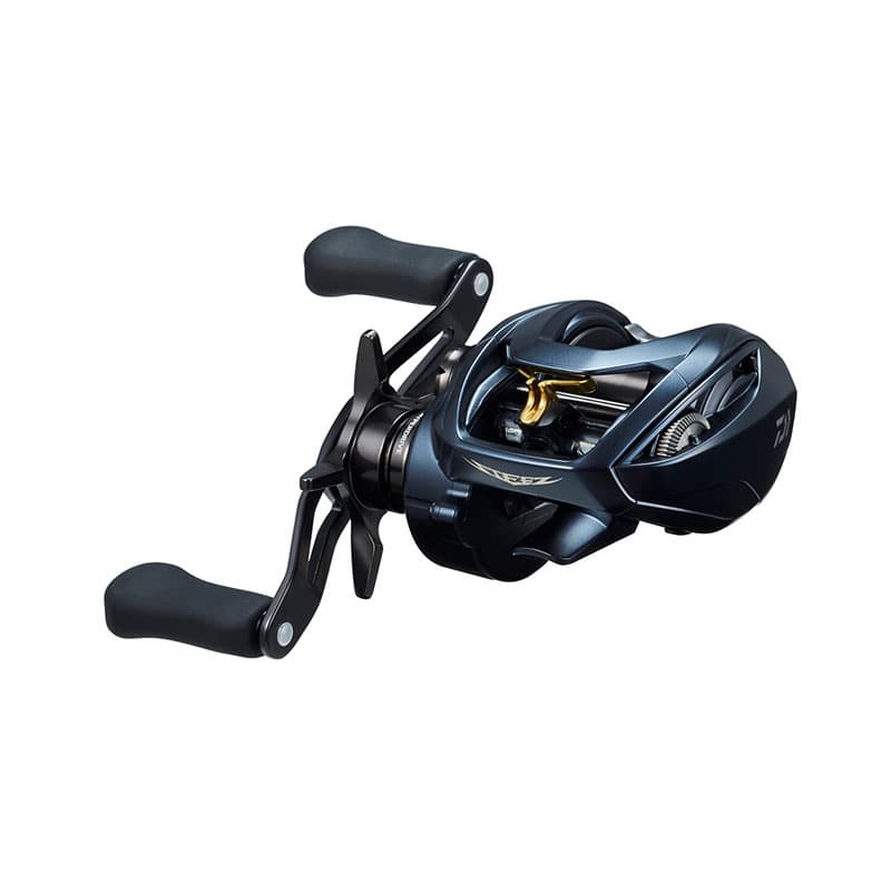 Daiwa Steez A II TW 1000H Right