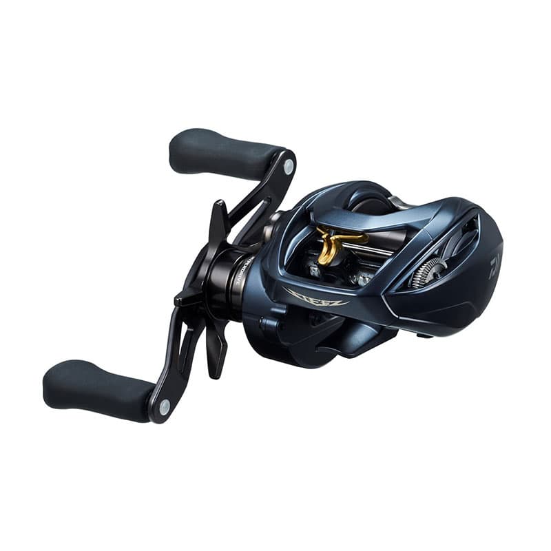 Daiwa Steez A II TW 1000XH Right