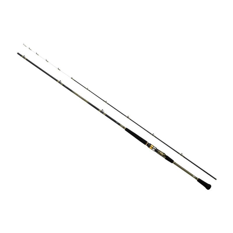 Daiwa Analyster 73 30-180 Q Boat Rod