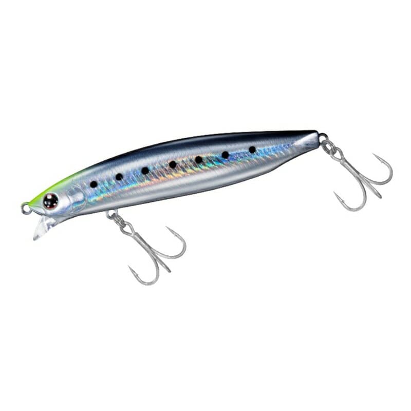 Daiwa Shoreline Shiner-Z Vertice R 98F-SSR Adele Charthead Sardine
