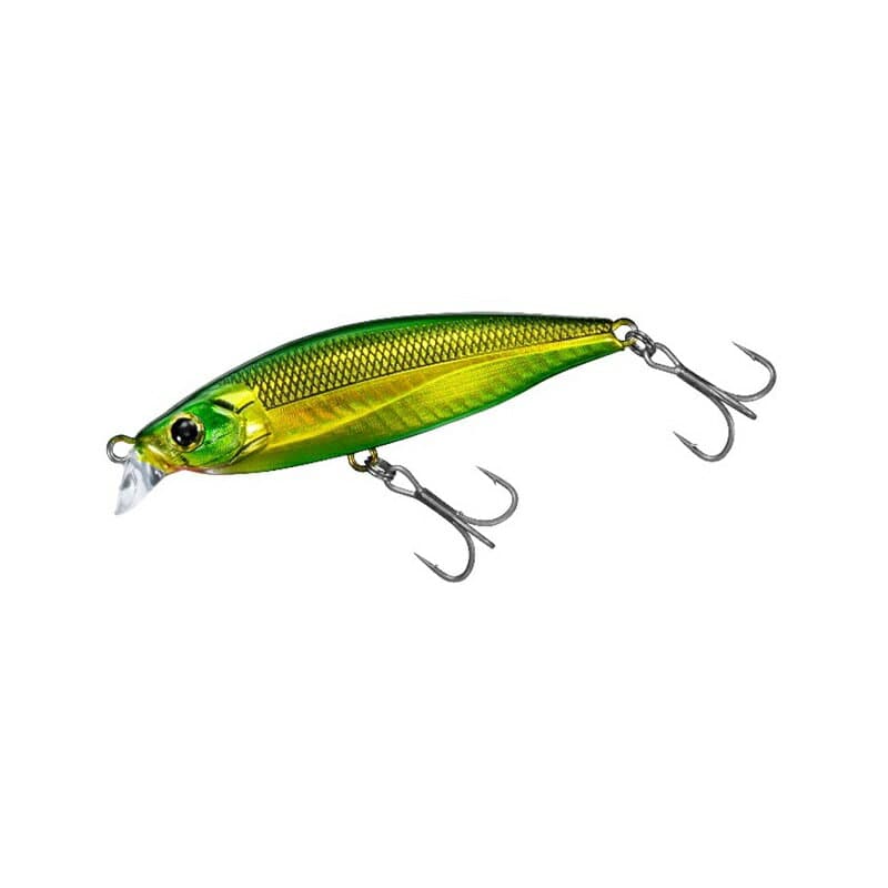 Daiwa Morethan Groovin 70HS Adel Grikin