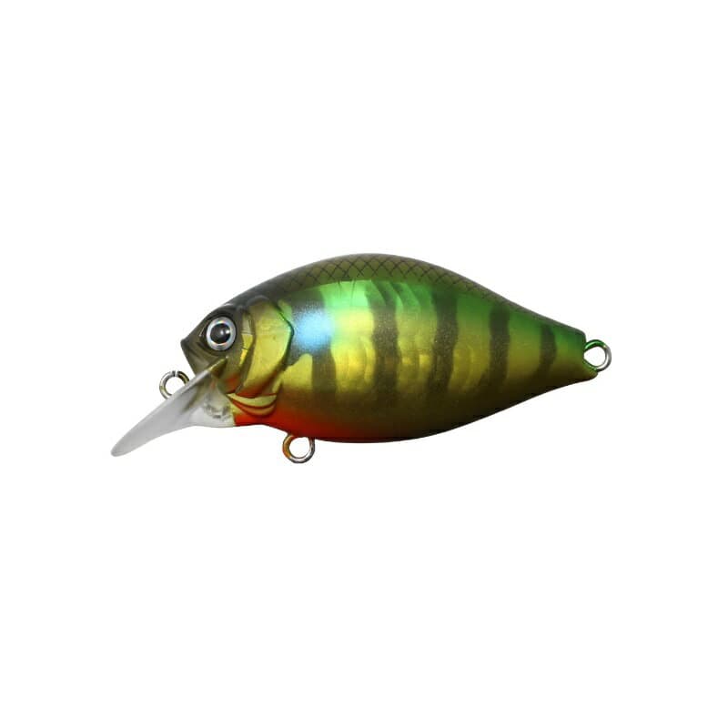 Issei Bass Lure G.C.Shallow Crank 40SR Chira #11 Bluegill