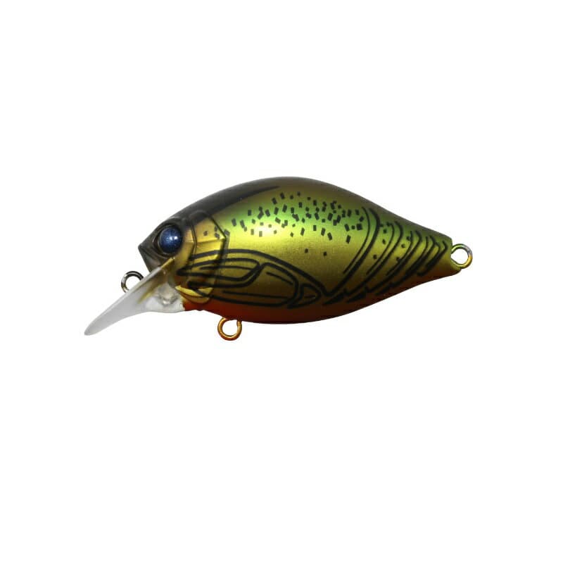 Issei Bass Lure G.C.Shallow Crank 40SR Chira #27 Uchida Crayfish