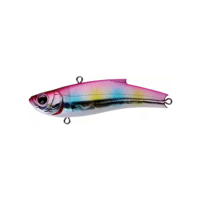 Bassday Range Vib 70TG CH-323 Pink Rainbow GB