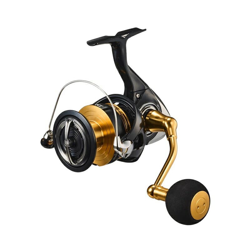 Daiwa 23 Regalis LT6000D-H Spinning Reel