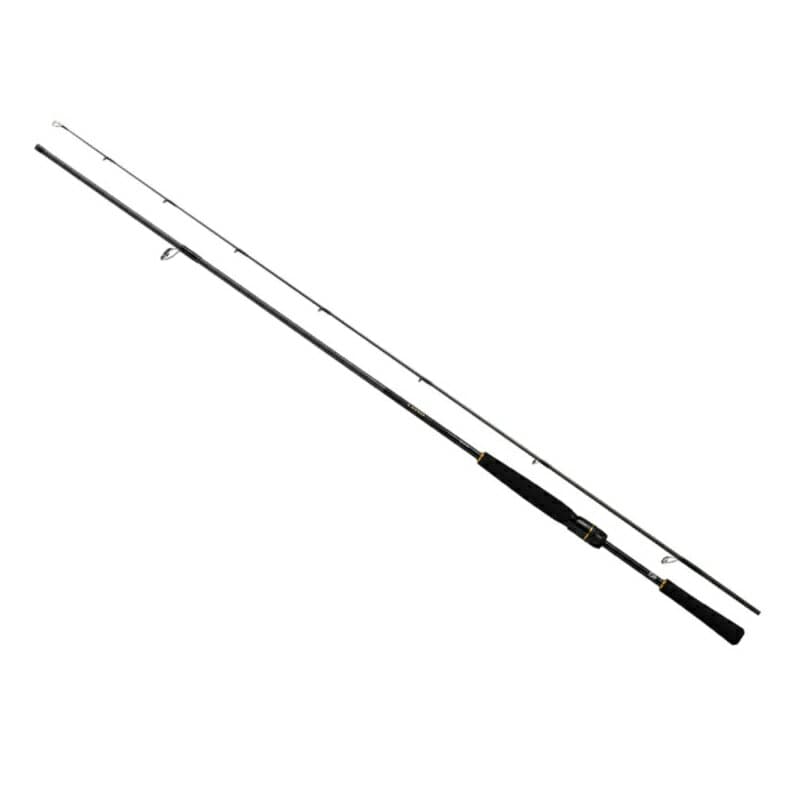 Daiwa Lateo BS 66XHB-W
