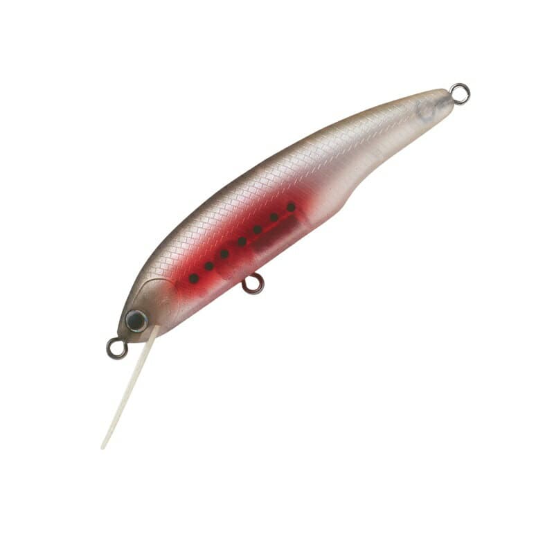 パームス　SC-65S エスクロール65S MTR-268 マットアンモシーテス