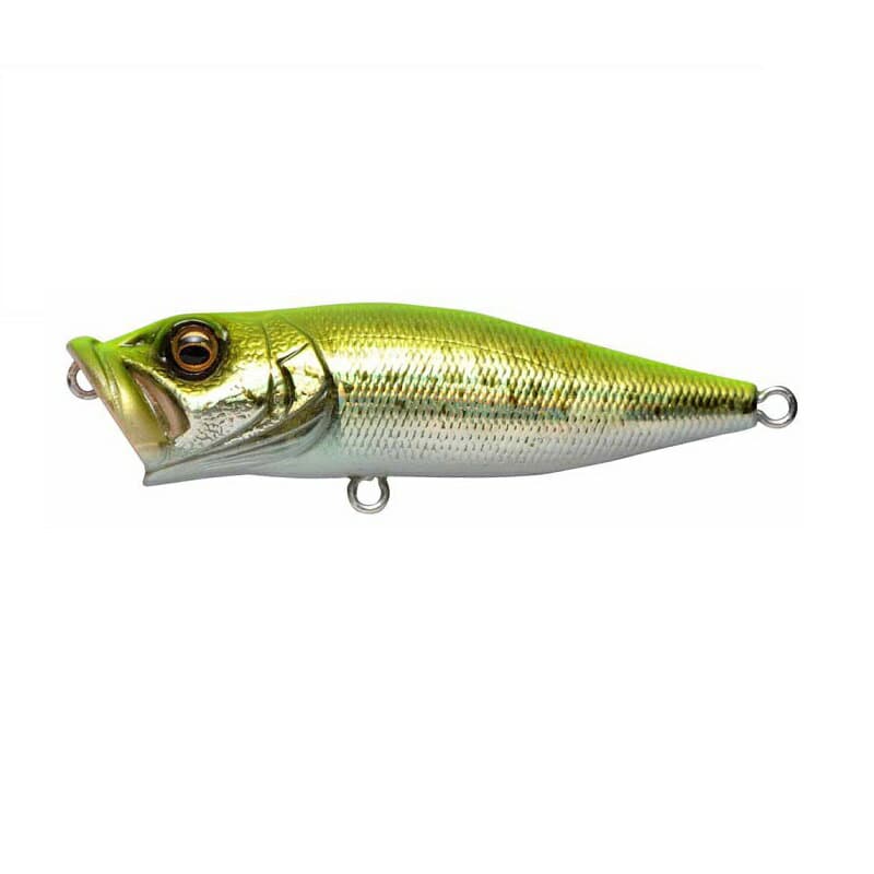 Megabass POP X #GG Chart Back Bass