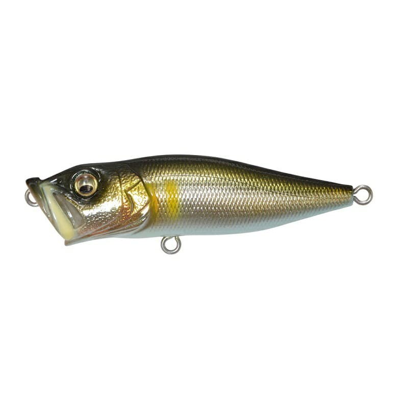 Megabass POPX #Takumi Seochi Ayu
