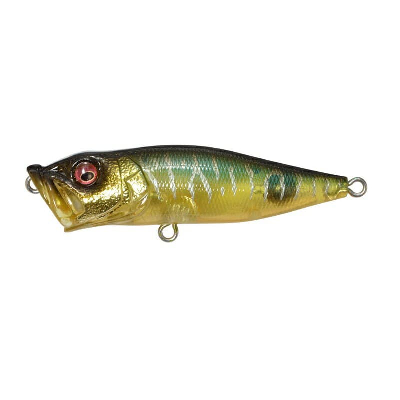 Megabass POP X #Gin Tonic Tiger