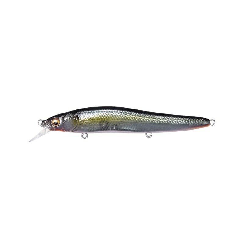 Megabass Oneten R #Jukucho Shad