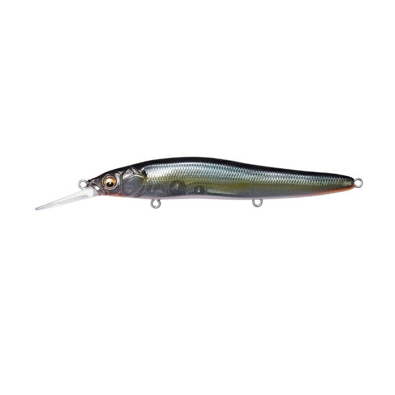 Megabass ONETEN R+1 #Jukucho Shad