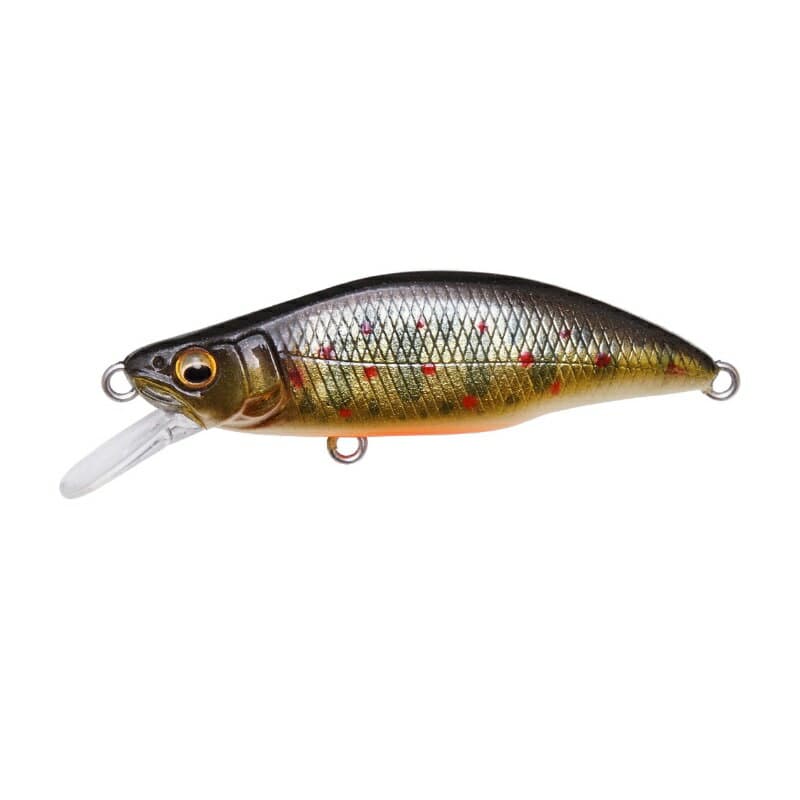 Megabass Great Hunting 64 Humpback FS #Takumi Iwana