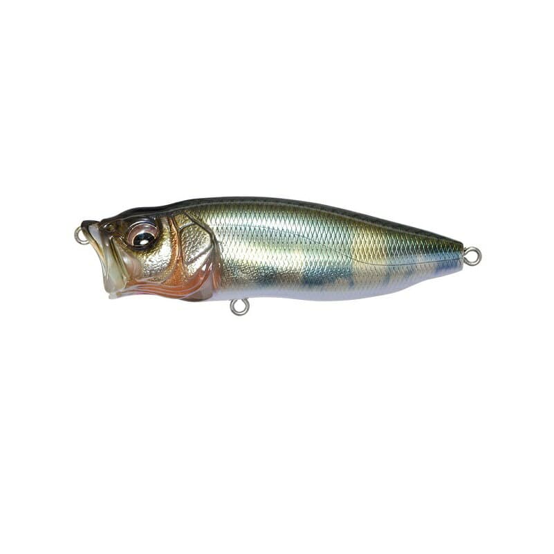 Megabass POP Max #Takumi Hasu