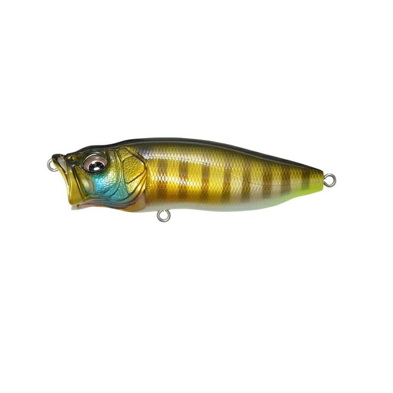 Megabass POP Max #PM Wild Gill