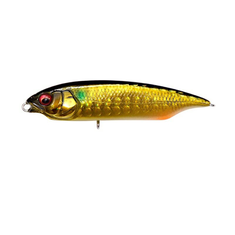 Megabass Karashi SW SS #GG Kin Bora