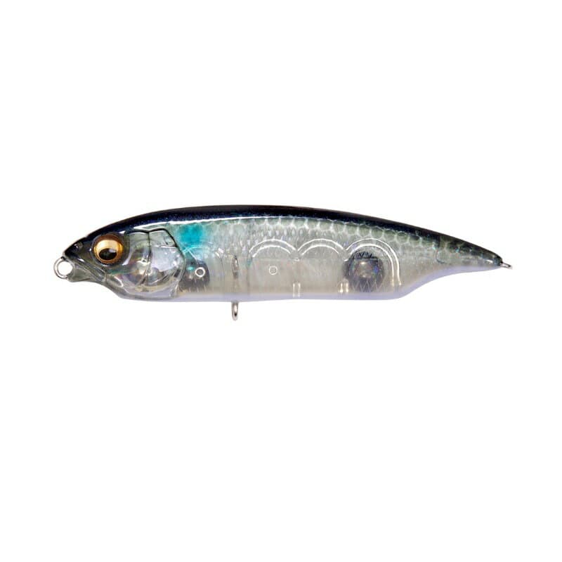 Megabass Karashi SW SS #GP Haku Bora