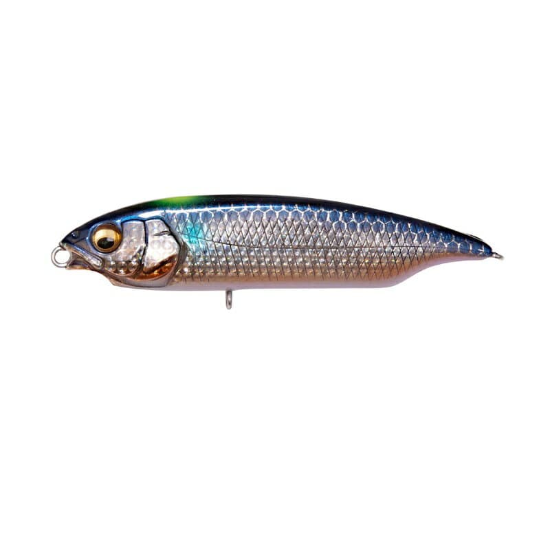 Megabass Karashi SW FS #DD Signal Inakko