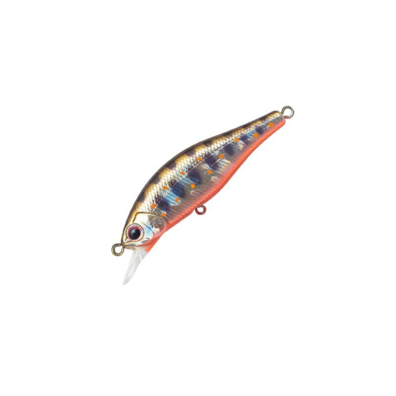 Palms Alexandra 50HW #Amago Orange Belly