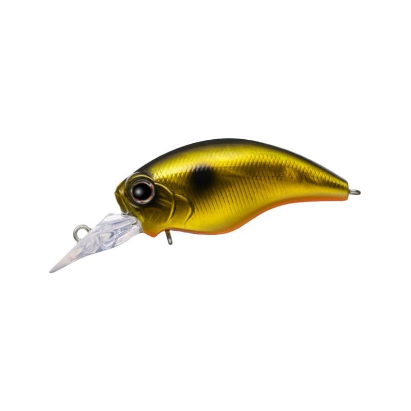 Evergreen Wild Hunch SR #211 Golden Shiner