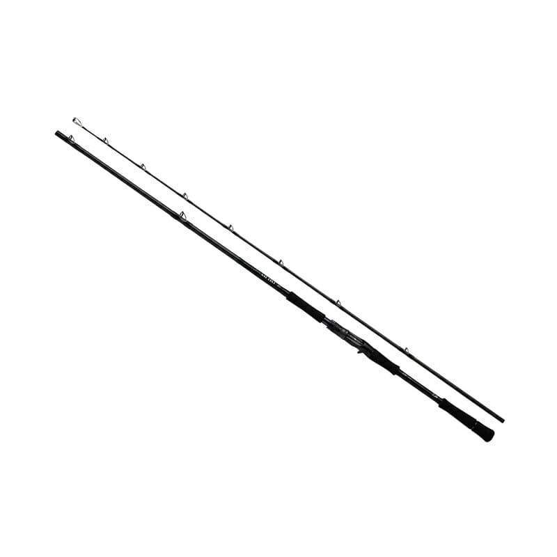 Daiwa 24 Saltist 610ULB