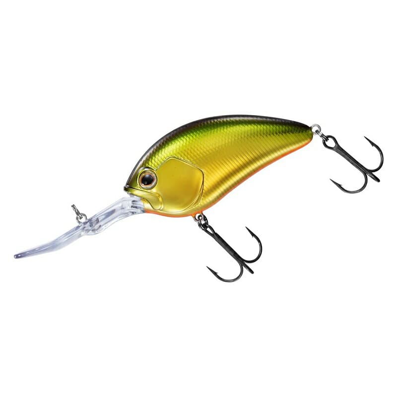 Daiwa 24 Steez Crank 500 Lake Biwa Gold
