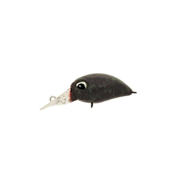 ヴァルケイン　ヘイズ C236 おこげあずき