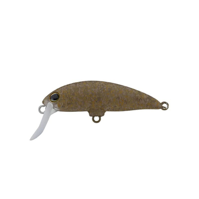 Timon C&R Buriburi Minnow (F) Kawagera Brown