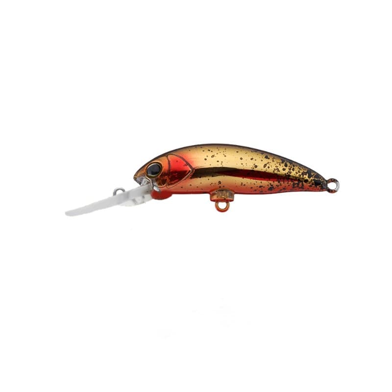 Timon C&R Buriburi Minnow DR HL Golden Trout