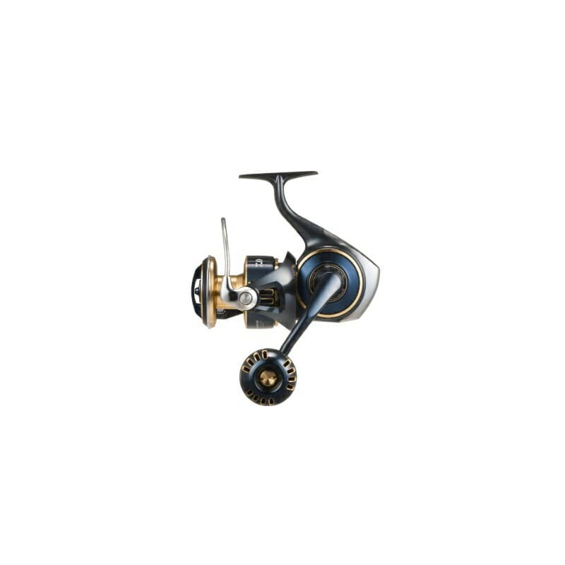 Daiwa 25 Saltiga 8000-P