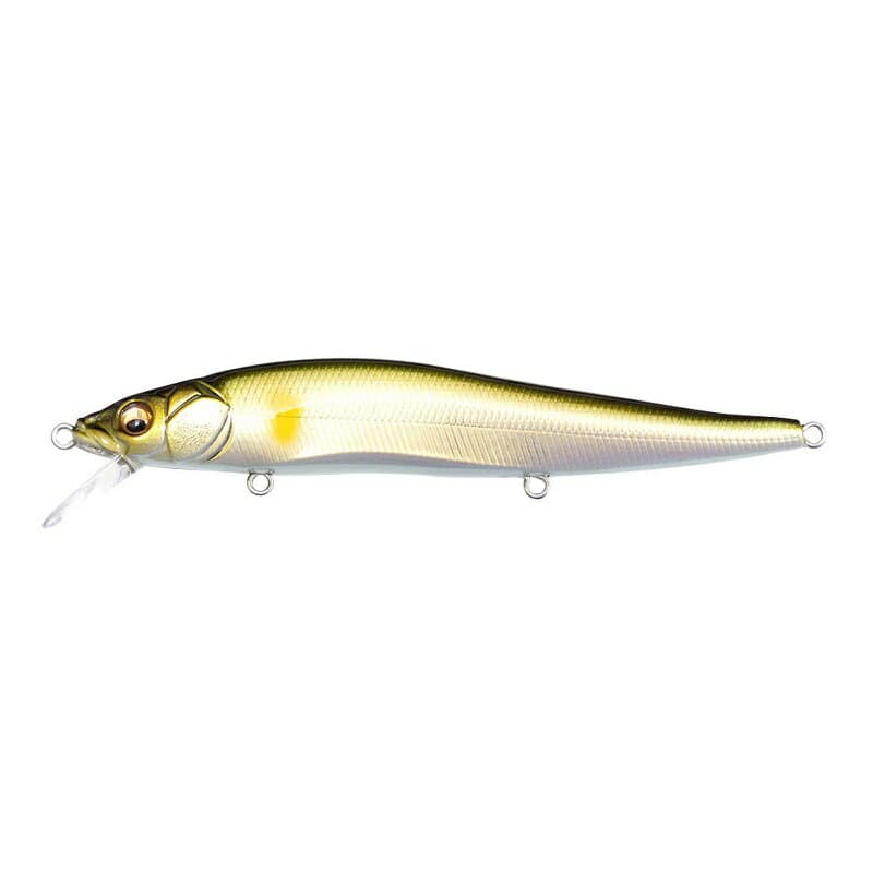 Megabass VISION ONETEN Wakin Ayu