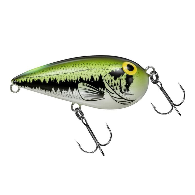 Daiwa Almond Bass