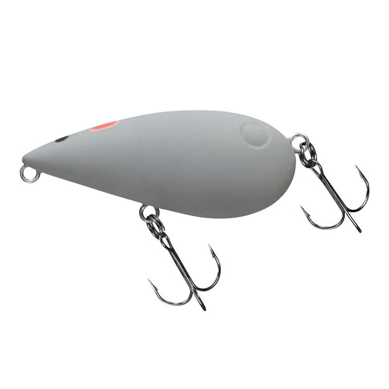 Daiwa Almond Rat