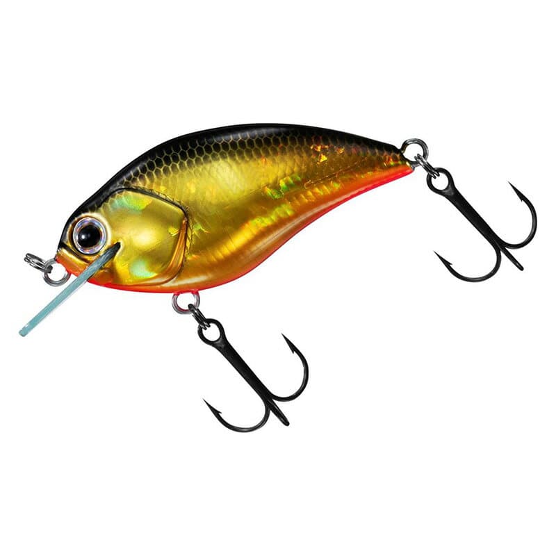 Daiwa Steez Square 100 Black Gold