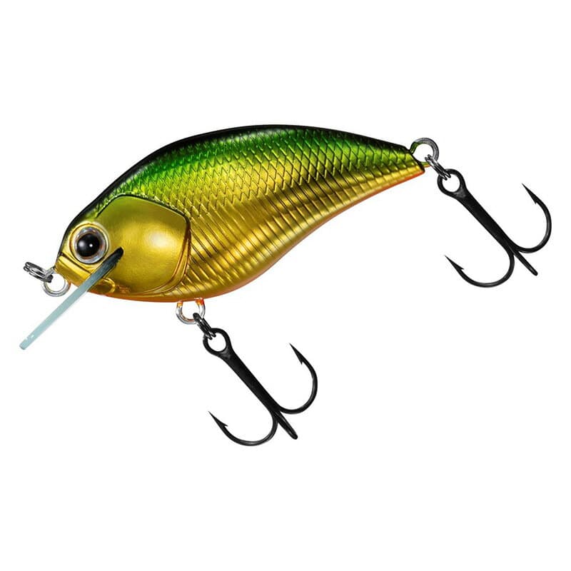 Daiwa Steez Square 100 Mid Kin
