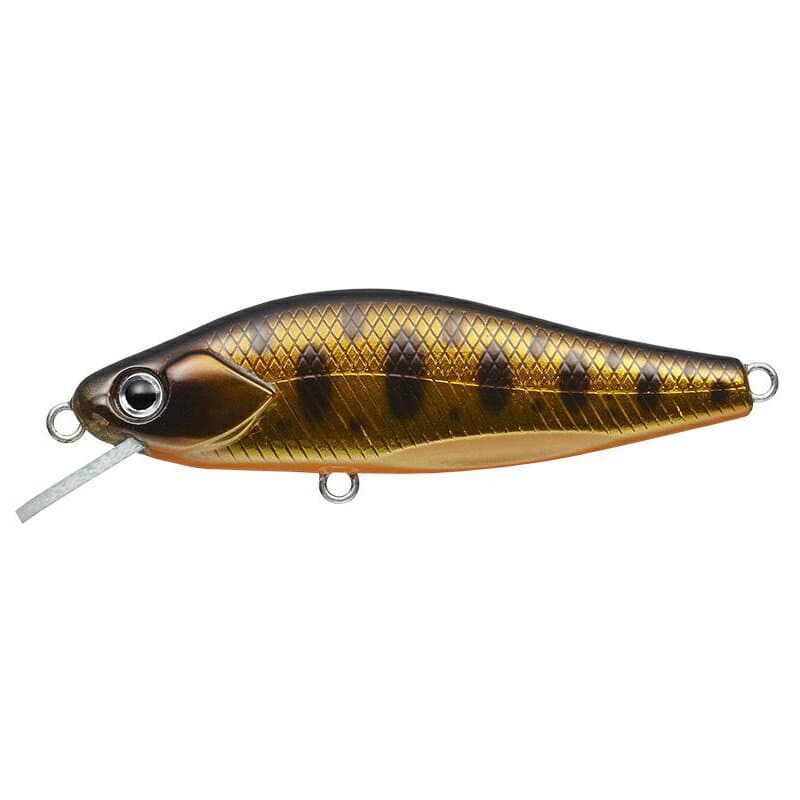 Evergreen Nelmezzo 50FS #31 Kin Kuro Yamame