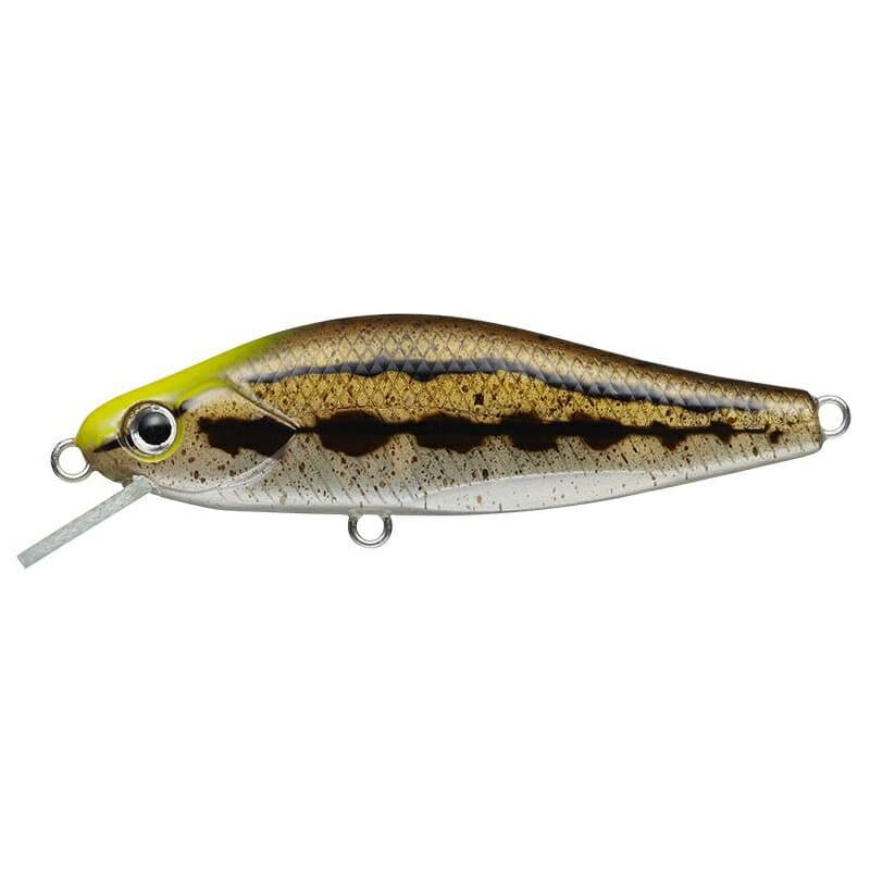 Evergreen Nelmezzo 50FS #33 Dojou
