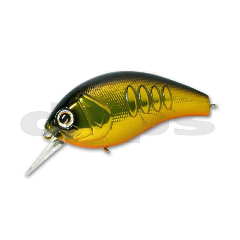 Deps Korrigan Magnum 250 #01 GM Kurokin