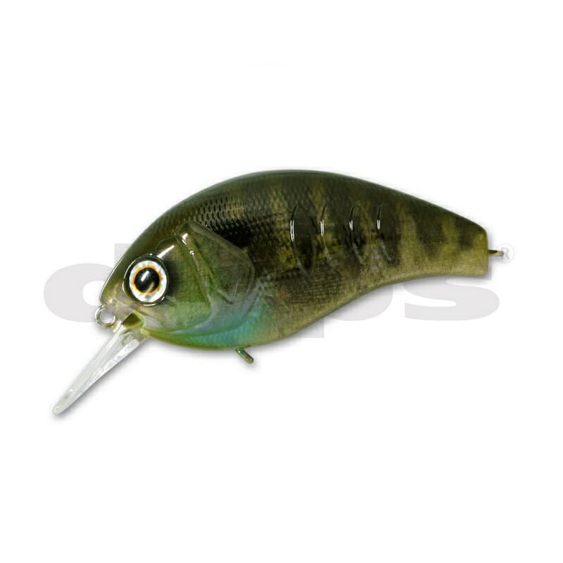 Deps Korrigan Magnum 250 #15 Real Bluegill