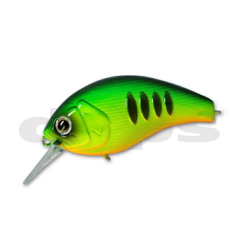 Deps Korrigan Magnum 250 Silent #41 Dot Tiger
