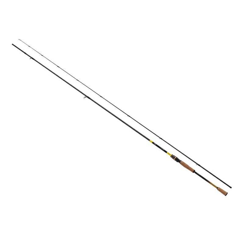 Daiwa Ayuing EX 99MLS-SMT